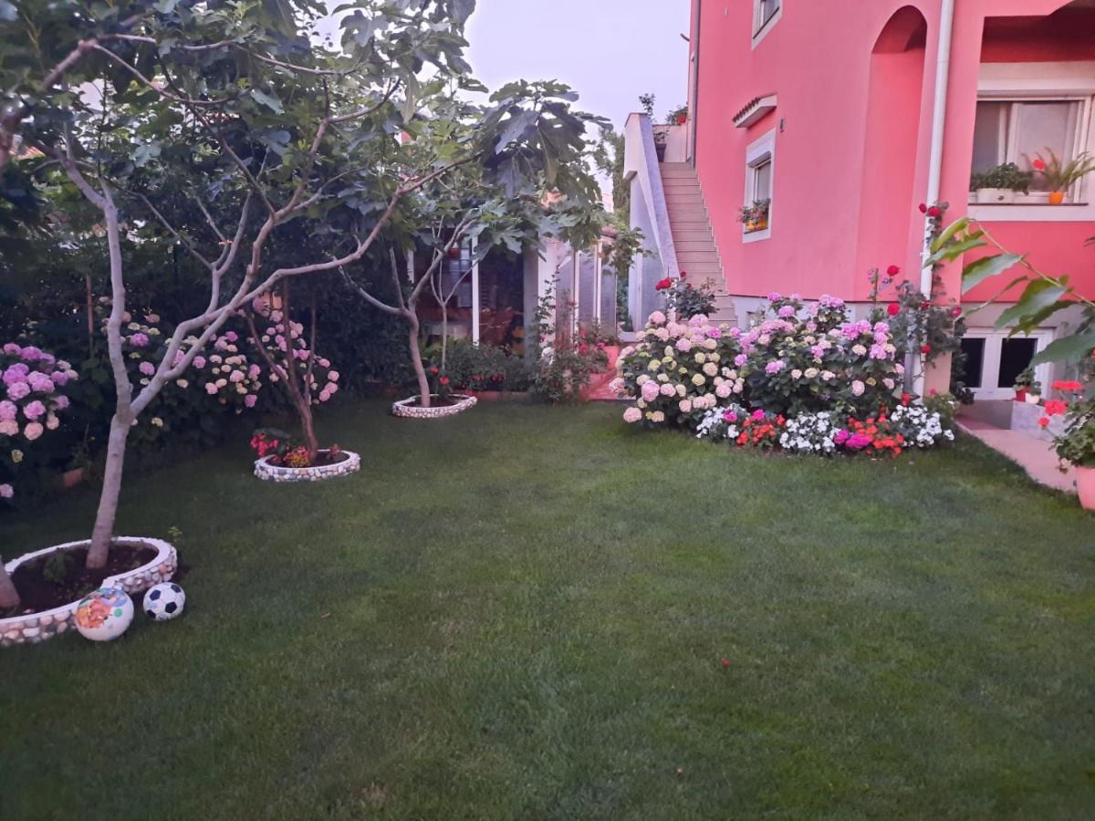Apartment Matija Zadar Zewnętrze zdjęcie
